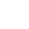 Due Diligence